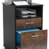 Tribesigns 2 Drawer Mobile File Cabinet With Lock, Brown