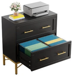 Tribesigns Office File Cabinet Modern Filing Cabinet, Black -Tribesigns Sales Store 4625eaf4 775d 4580 81af ebd61b10a570
